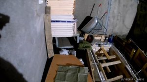 Как избавиться от крыс в гараже?