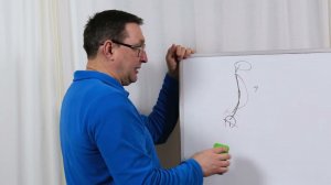 Желчный пузырь и осанка.