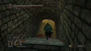 Dark Souls 2 How To Get The Doors To Open In Aldia's Keep