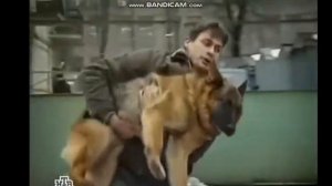 Заставка "ВОЗВРАЩЕНИЕ МУХТАРА - 4" (2007 г.)