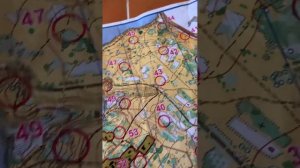 10.10.2023 Ночной выбор делаем на Борисовских прудах. Не рисуем!