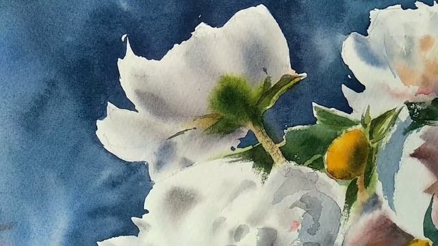 Видео обзор картины с белыми пионами в стеклянной вазе. Художник Ольга Ермакова смотреть онлайн