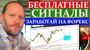 БЕСПЛАТНЫЕ СИГНАЛЫ. КАК ЗАРАБОТАТЬ НА FOREX? Обзор 4.08.2024