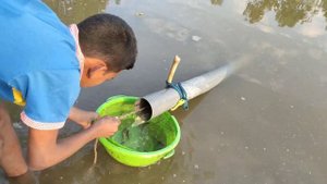 Unbelievable Fishing-Unique Fish Trapping System-Pvc Pipe Fishing