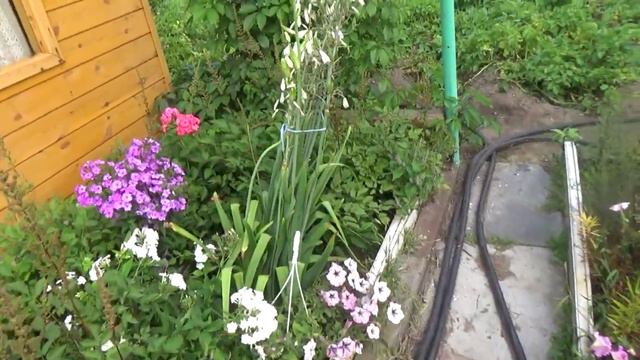 16.  Осенние подкормки.