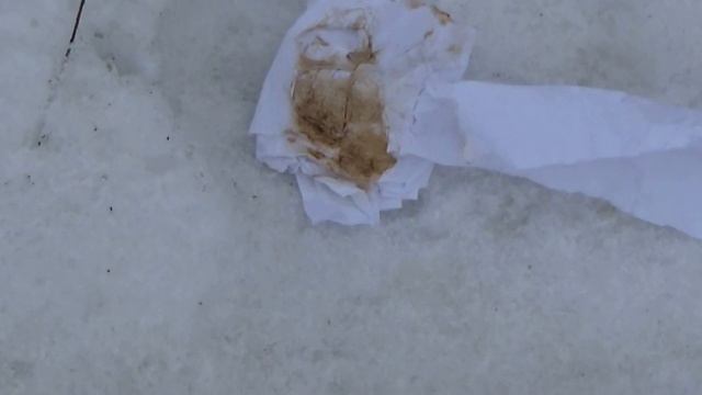 Ржев. Где живем там и срЁМ! (нецензурная лексика) смотреть онлайн