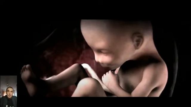 Что такое полярности человека и полярная медицина в целом