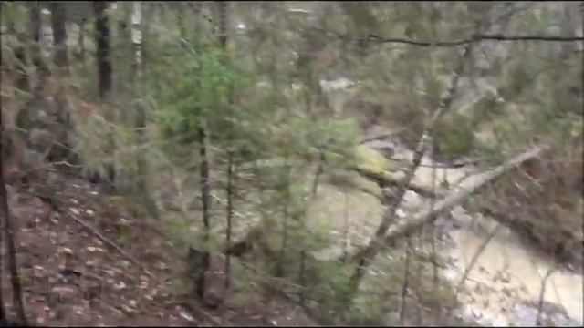 Наша экспедиция "Дураковские дороги 2013" (Экспедиционный клуб 4х4 г. Обнинск off road) смотреть онлайн