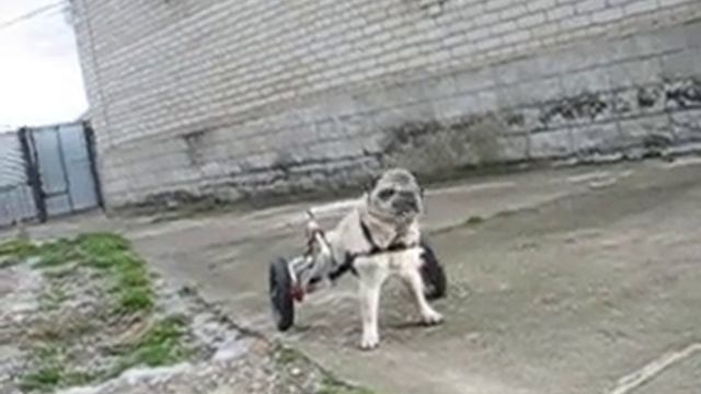 Мануэль