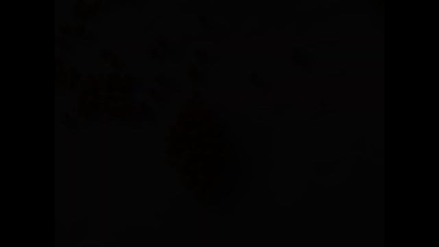 Поделка из природного материала Сова Мастер класс