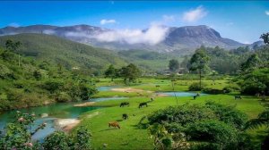 История древнего мира параграф 20     5 класс