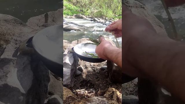 Asparagus / Спаржа, готовим на месте / Ցնեփուկ - Ձնեբեկ
