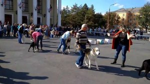 Новотроицк 2017. Выставка.