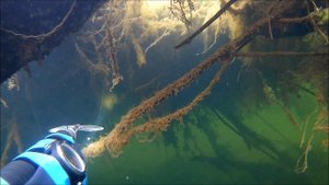 Карасау 17.10.2020.