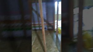 Утепление деревянного дома внутри