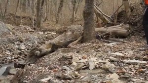 Вертикальный маятник