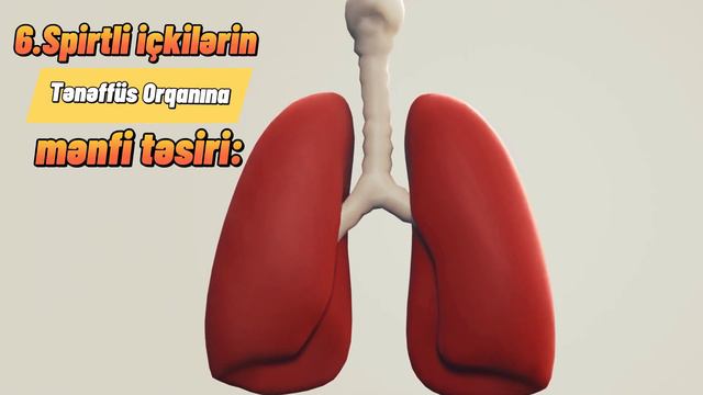 Spirtli içkilərin insana zərərləri (DƏHŞƏTLİ FAKTLAR)