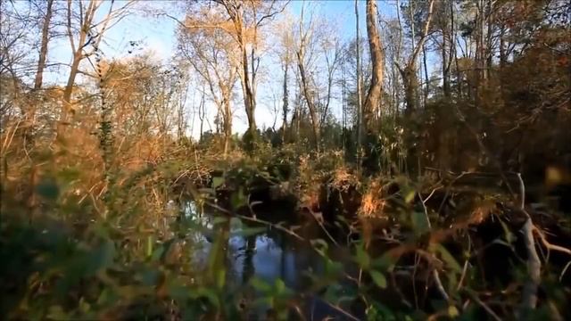 Является ли просветление событием или переживанием смотреть онлайн