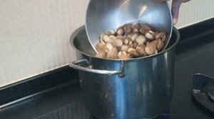 Как приготовить лаксу дома. Карри лакса