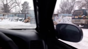 Toyota Aristo jzs147 механизм складывания зеркал после ремонта