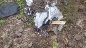 НАШЁЛ ПЛАТЫ И СТАРУЮ ЭЛЕКТРОНИКУ В ЛЕСУ! ПОИСК МЕДИ И МЕТАЛЛОЛОМА НА СВАЛКЕ.