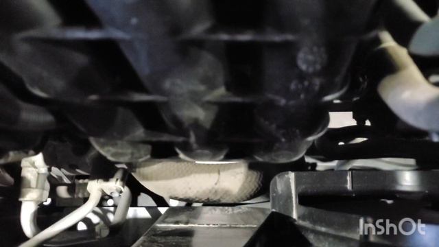 Inspected - Mitsubishi Attrage 2022 || Autohub смотреть онлайн