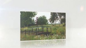 Садовый ландшафтный дизайн своими руками