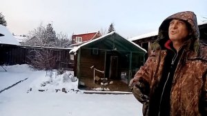 Зимнее содержание бакинских голубей