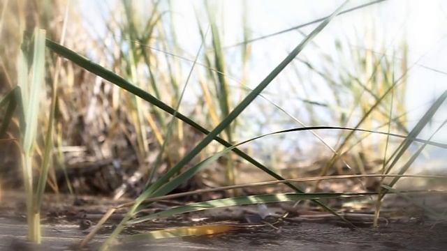 ВКО , Бухтарминское водохранилище 