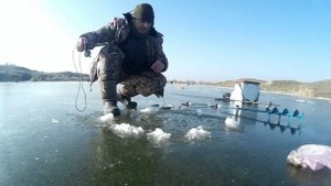 Рыбалка Самодельная Электронная Зимняя Удочка При Ловле Окуня KarakayS Chanal