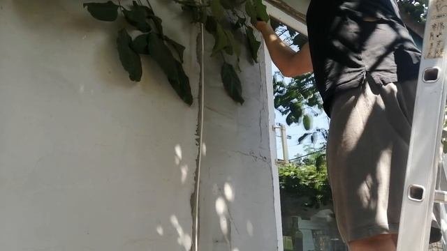 Установка вентиляционного клапана.
