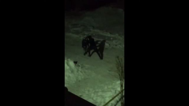 [ХПП] Пр€дставляет смотреть онлайн