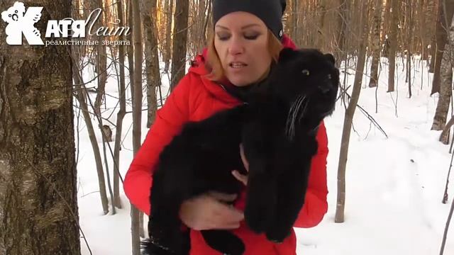 Пантера смотреть онлайн