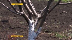 с. Диановка - садово-огородные будни селян 28.04.2017