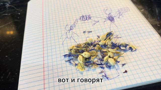 Как умершие забирают с собой