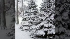 "Давайте почитаем. Святочные рассказы" - онлайн программа