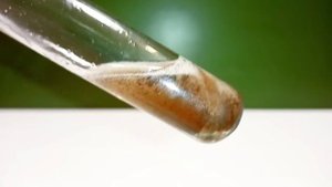 Растворение СУРЬМЫ в КОНЦЕНТРИРОВАННОЙ СЕРНОЙ КИСЛОТЕ. Опыты по химии. Получение СУЛЬФАТА СУРЬМЫ.