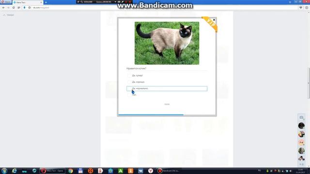 Мой 1 ролик. Проходим тест в ВКонтакте смотреть онлайн