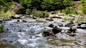 Кратима терирем. Драгослав Павле Аксентиевич.