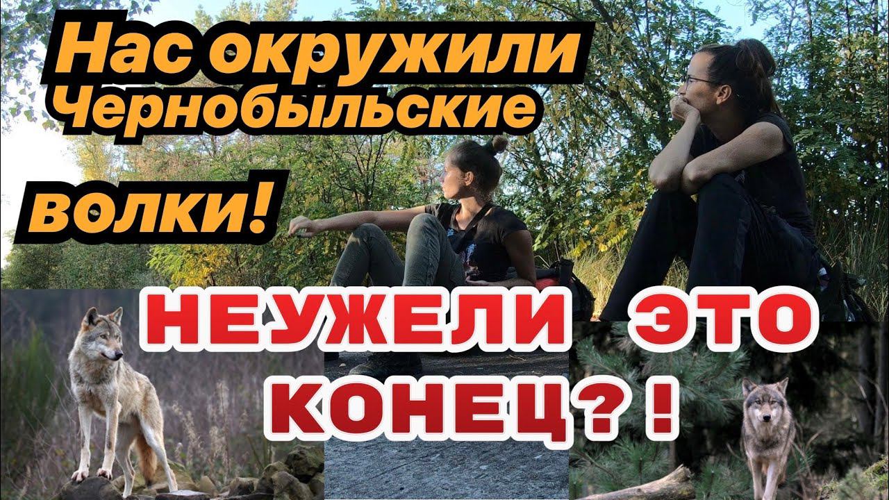 Часть 8. Убегаем от волков на пруду-охладителе ЧАЭС. Смотреть до конца! Поход в Припять2020. смотреть онлайн