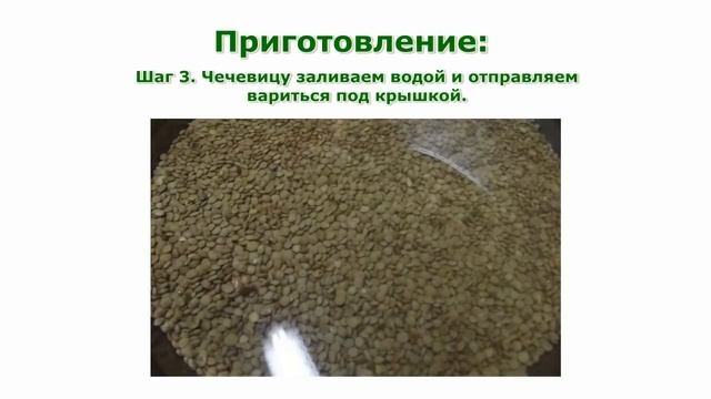 Рецепты блюд. Каша из чечевицы простой рецепт блюда смотреть онлайн