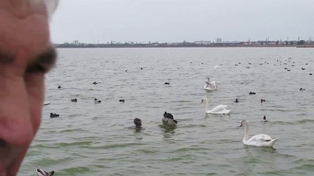 Санаторий Полтава - Крым.Апрель 2018 г. Питание. Проживание. Саки Крым. Отдых в Крыму . смотреть онлайн