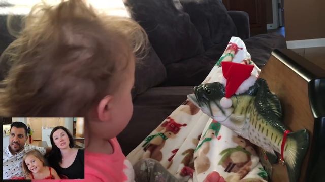 Top 5 Baby Stella Moments смотреть онлайн