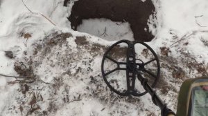 Fisher F75 + катушка Nell Attack - Тест на чешую