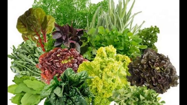 Кальций для организма. Продукты богатые кальцием.