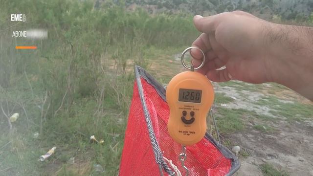 Bu Balık Avı Tam Size Göre.Dip Oltası ile Büyük BALIK AVI.SAZAN AVI Teknikleri.Canlı Balıkla Av. #4 смотреть онлайн