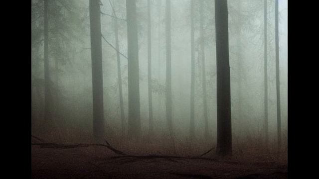 Dark Tales: 3 Chilling Horror Stories with Unforgettable Endings