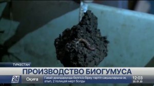 Производство биогумуса запустили в Туркестане  СУПЕР БИЗНЕС