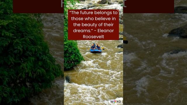 Inspirational Quotes about Future and Success