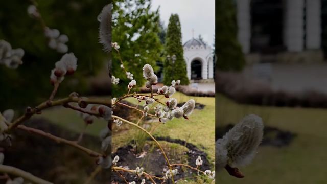 Алексеево-Акатов Монастырь,Воронеж